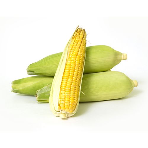 /storage/photos/30/40004992_14-fresho-sweet-corn (1).jpg